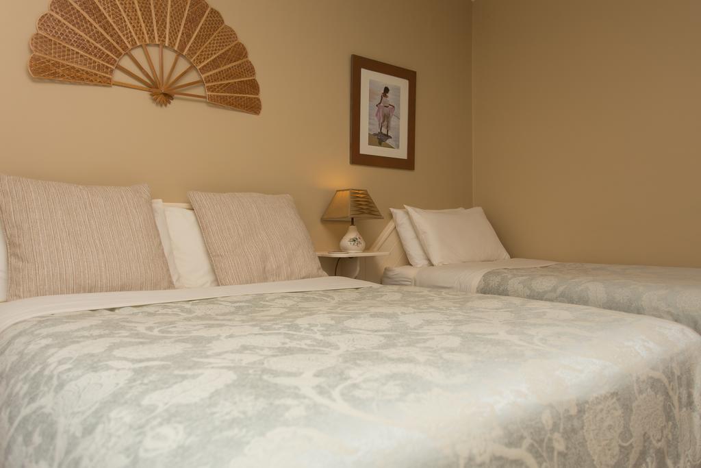 Fern Rock Bed And Breakfast Dromin Extérieur photo